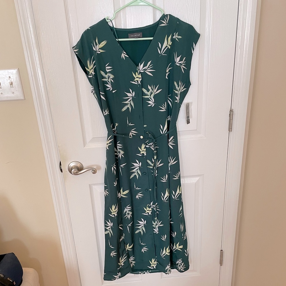 **$20 when Bundled** NWT Gorgeous Green Floral Limited Dress